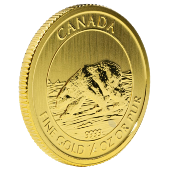 Gold Canadian Polar Bear 1/4 Ounce Coin