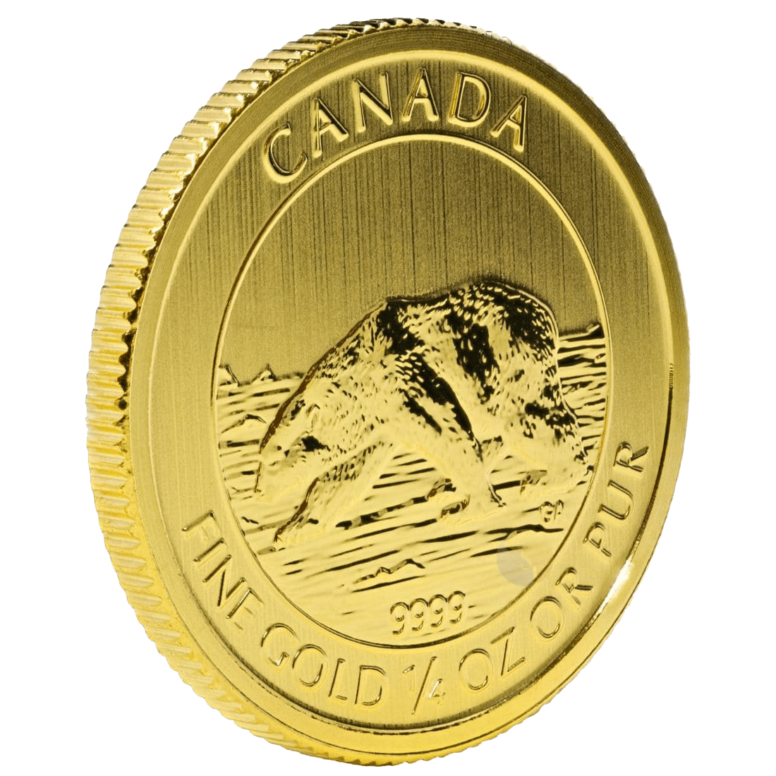 Gold Canadian Polar Bear 1/4 Ounce Coin